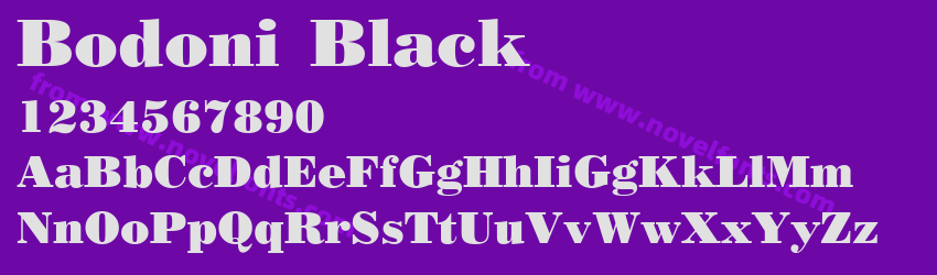 Bodoni BlackPreview