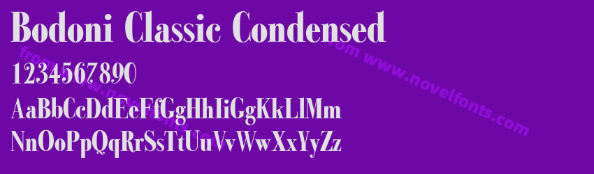 Bodoni Classic CondensedPreview