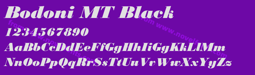 Bodoni MT BlackPreview