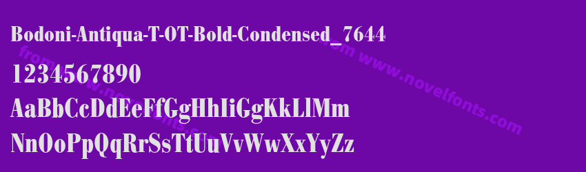 Bodoni-Antiqua-T-OT-Bold-Condensed_7644Preview