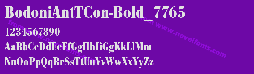 BodoniAntTCon-Bold_7765Preview