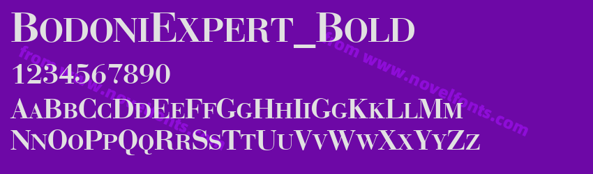 BodoniExpert_BoldPreview