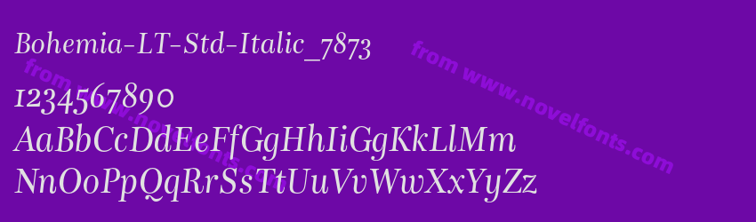 Bohemia-LT-Std-Italic_7873Preview