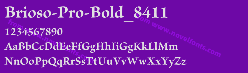 Brioso-Pro-Bold_8411Preview