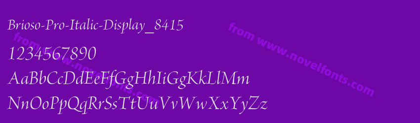 Brioso-Pro-Italic-Display_8415Preview