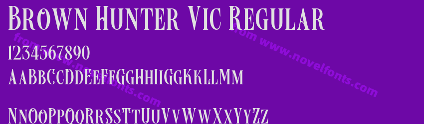 Brown Hunter Vic RegularPreview