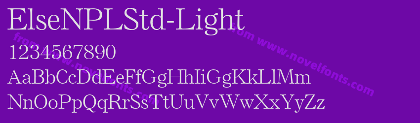 ElseNPLStd-LightPreview