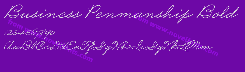 Business Penmanship BoldPreview