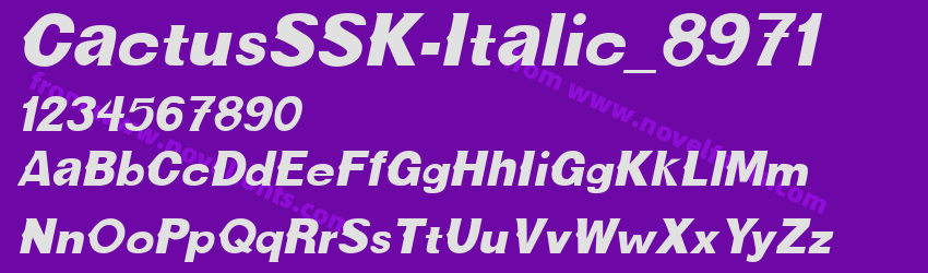 CactusSSK-Italic_8971Preview