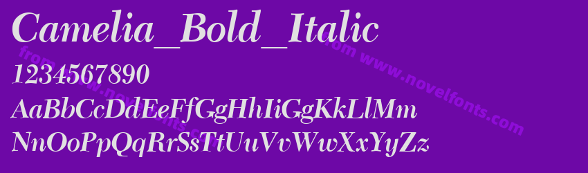 Camelia_Bold_ItalicPreview