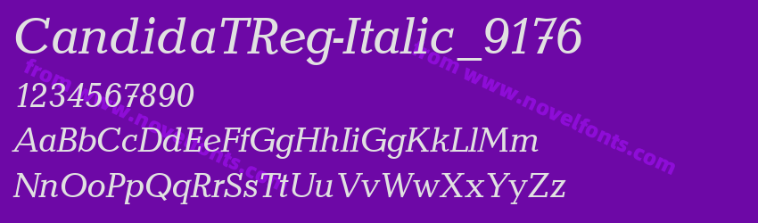 CandidaTReg-Italic_9176Preview