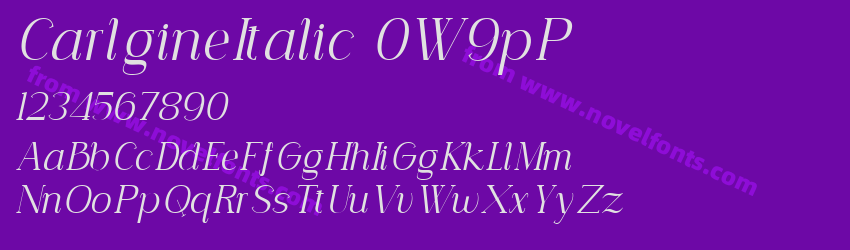 CarlgineItalic-0W9pPPreview