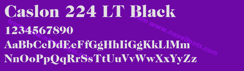 Caslon 224 LT BlackPreview