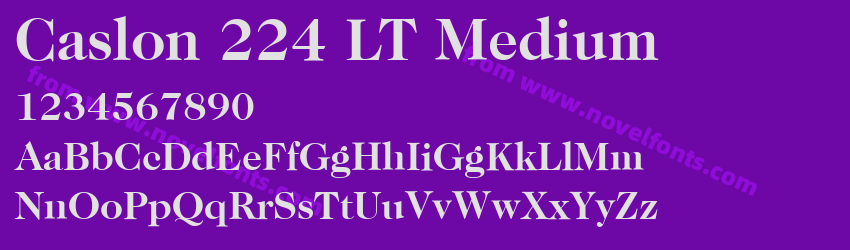 Caslon 224 LT MediumPreview