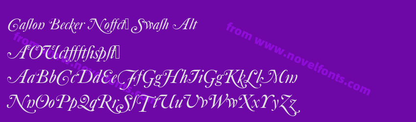 Caslon Becker No540 Swash AltPreview