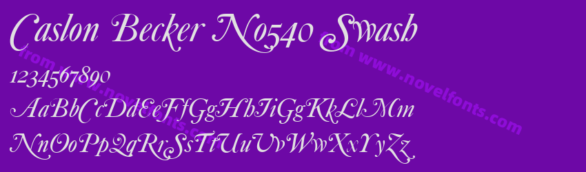 Caslon Becker No540 SwashPreview