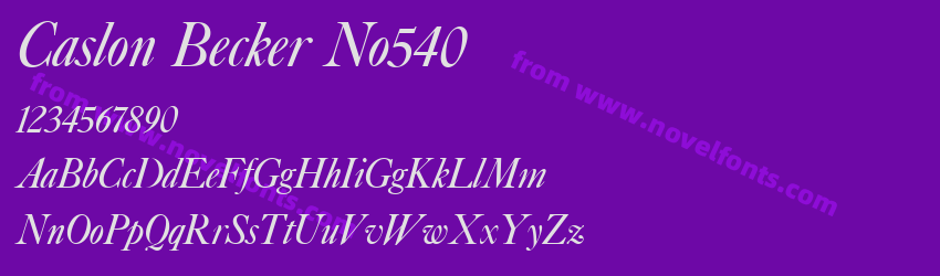 Caslon Becker No540Preview