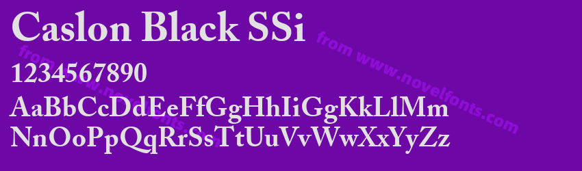 Caslon Black SSiPreview