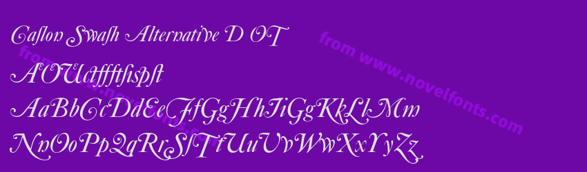 Caslon Swash Alternative D OTPreview