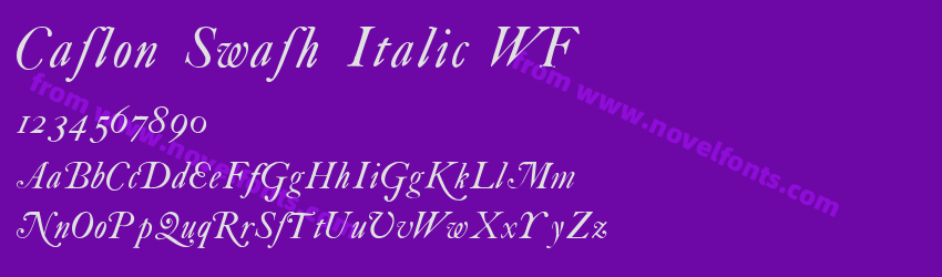 Caslon Swash Italic WFPreview