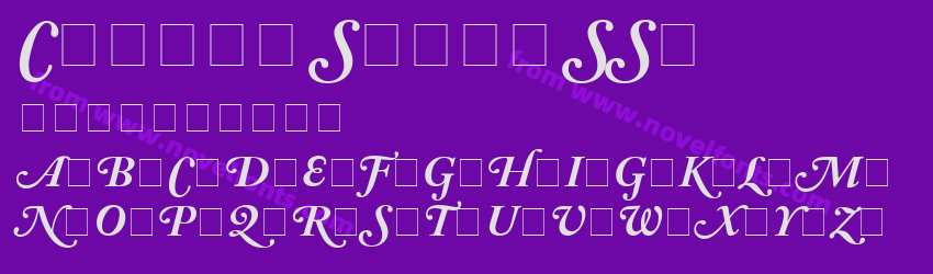 Caslon Swash SSiPreview