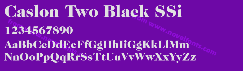 Caslon Two Black SSiPreview