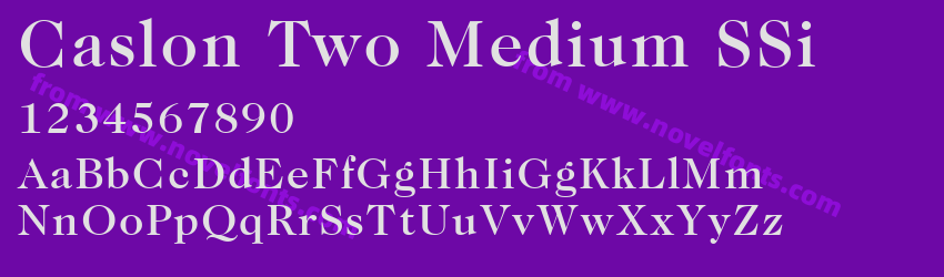 Caslon Two Medium SSiPreview