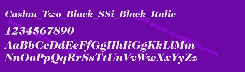 Caslon_Two_Black_SSi_Black_ItalicPreview