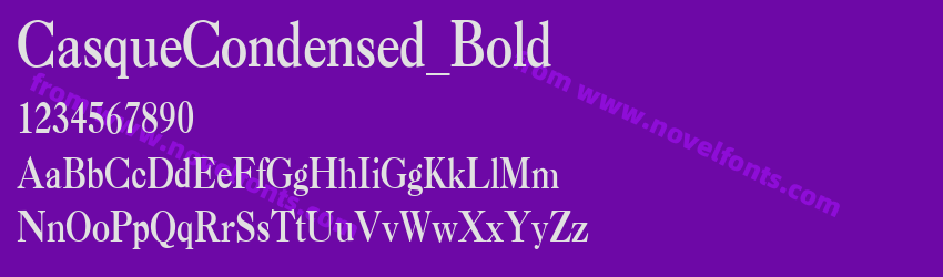 CasqueCondensed_BoldPreview