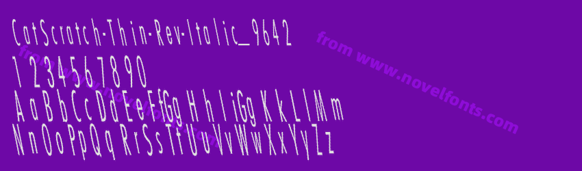 CatScratch-Thin-Rev-Italic_9642Preview