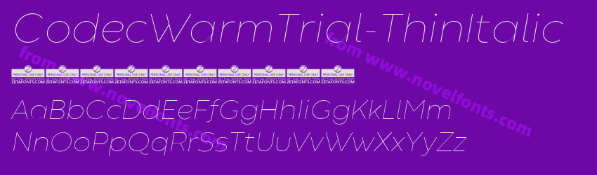 CodecWarmTrial-ThinItalicPreview