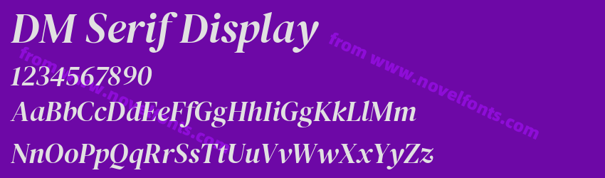 DM Serif DisplayPreview