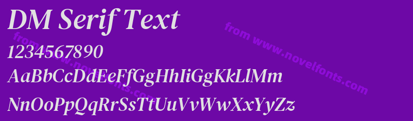 DM Serif TextPreview