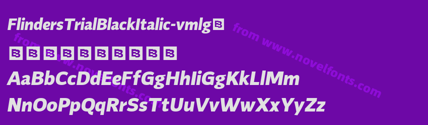 FlindersTrialBlackItalic-vmlg4Preview