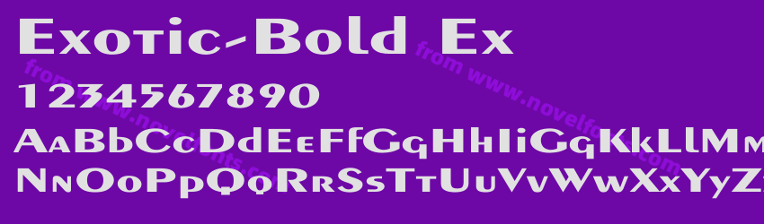 Exotic Bold ExPreview