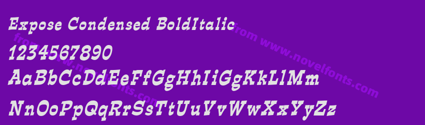 Expose Condensed BoldItalicPreview