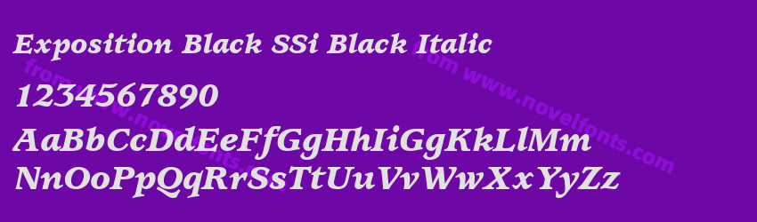 Exposition Black SSi Black ItalicPreview