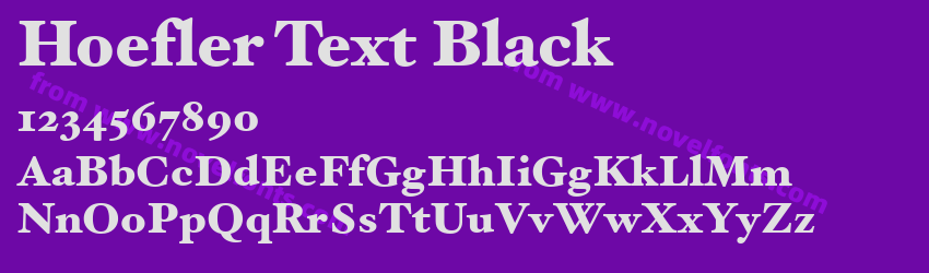 Hoefler Text BlackPreview