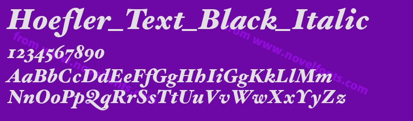 Hoefler_Text_Black_ItalicPreview