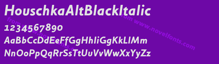 HouschkaAltBlackItalicPreview