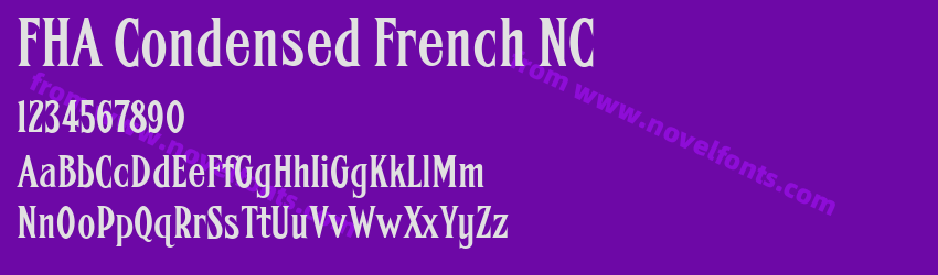 FHA Condensed French NCPreview