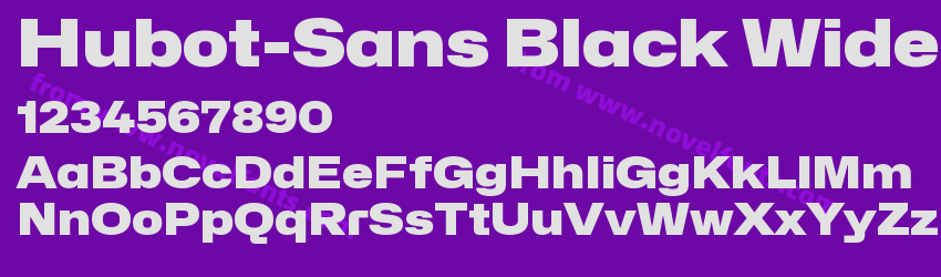 Hubot-Sans Black WidePreview