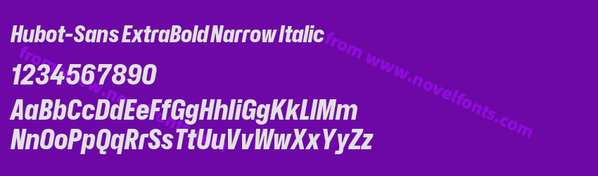 Hubot-Sans ExtraBold Narrow ItalicPreview