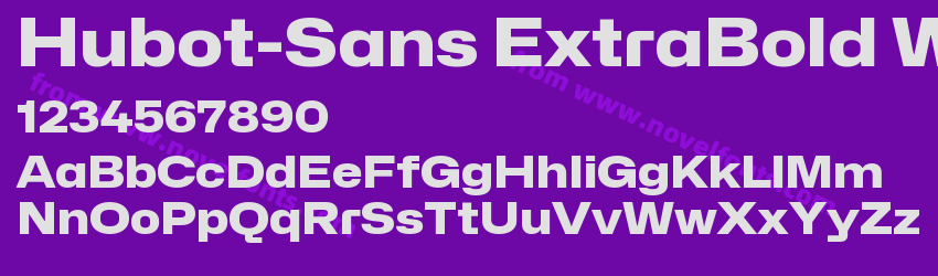 Hubot-Sans ExtraBold WidePreview