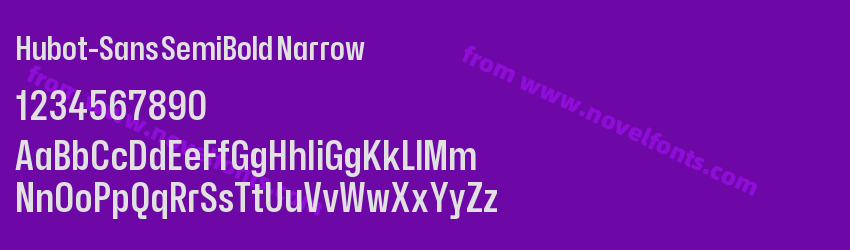 Hubot-Sans SemiBold NarrowPreview