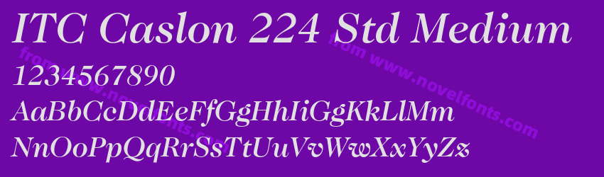 ITC Caslon 224 Std MediumPreview