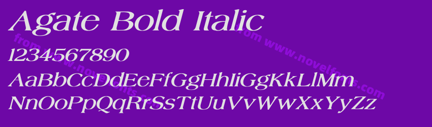 Agate Bold ItalicPreview