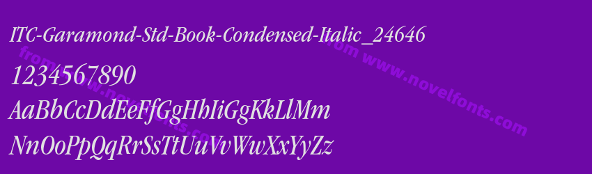 ITC-Garamond-Std-Book-Condensed-Italic_24646Preview