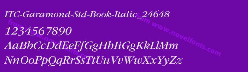 ITC-Garamond-Std-Book-Italic_24648Preview