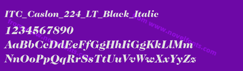 ITC_Caslon_224_LT_Black_ItalicPreview